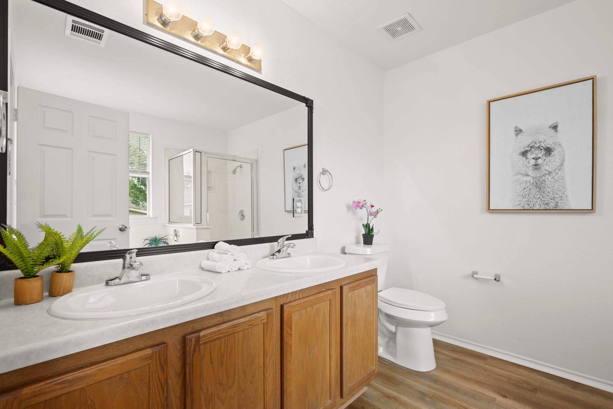 161 PLUMBAGO Cv, Buda, TX 78610