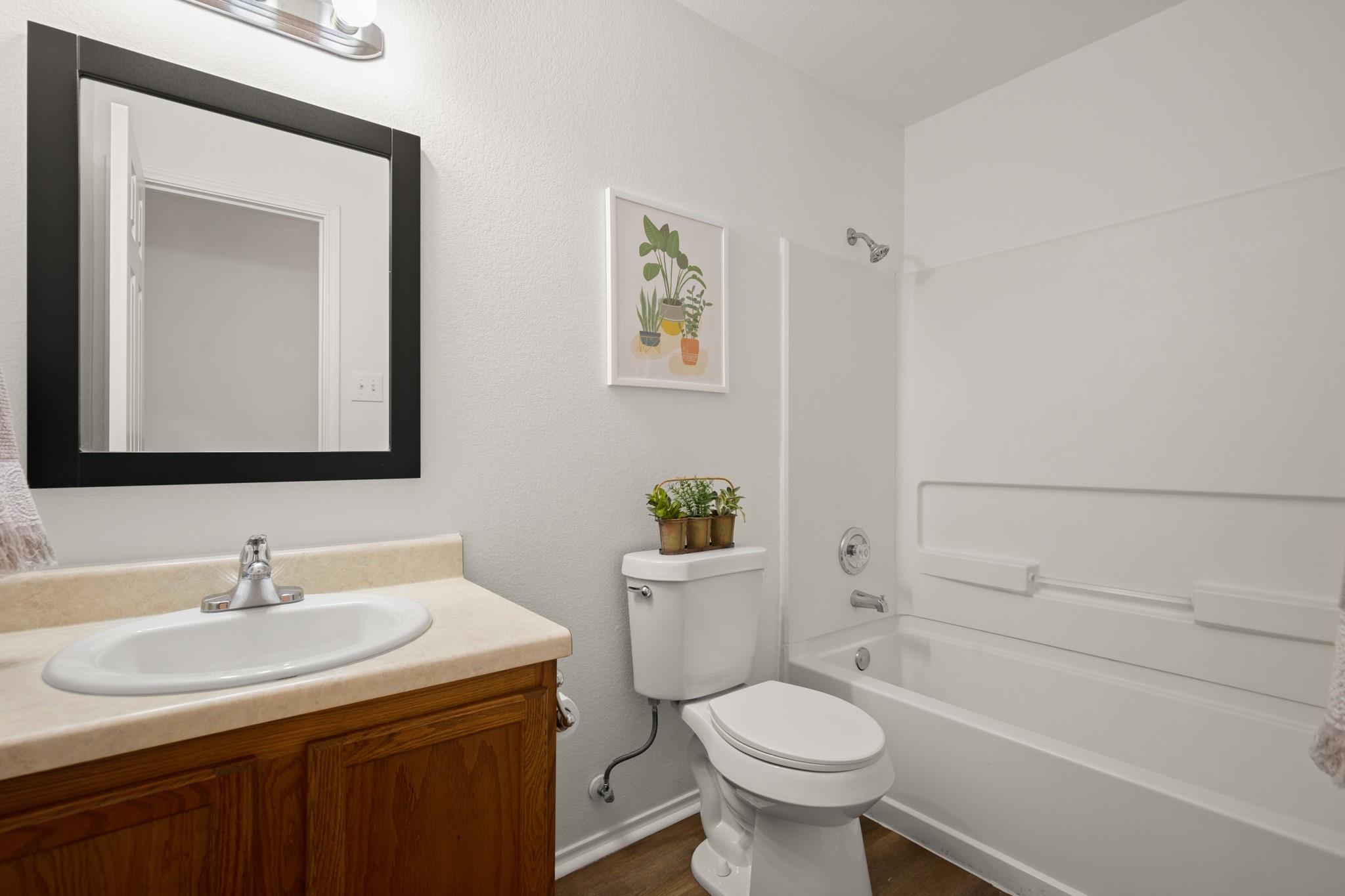 161 PLUMBAGO Cv, Buda, TX 78610