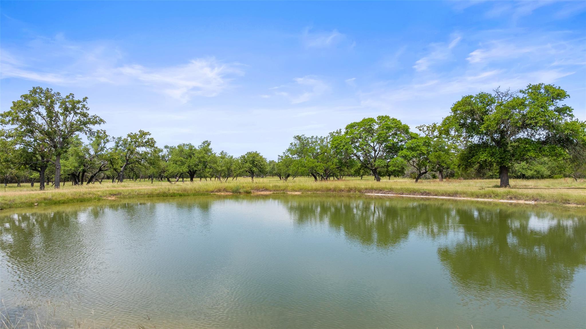 1291 Sandy Oaks Ranch Rd, Johnson City, TX 78636