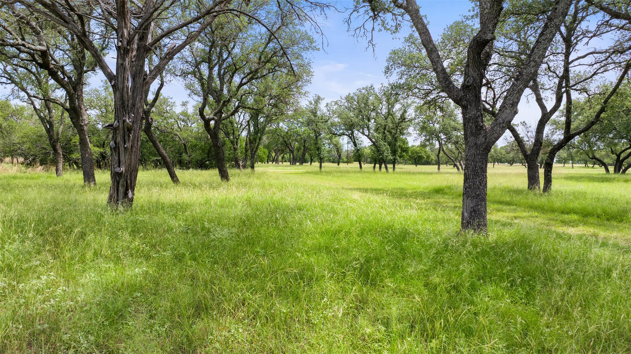 1291 Sandy Oaks Ranch Rd, Johnson City, TX 78636