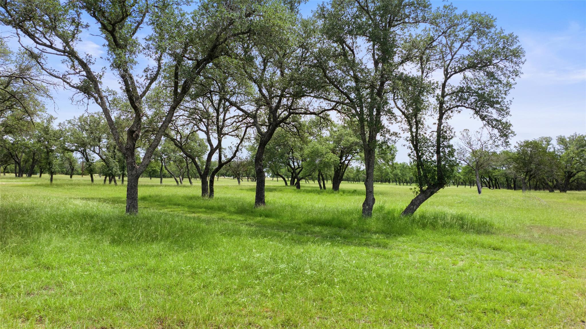 1291 Sandy Oaks Ranch Rd, Johnson City, TX 78636