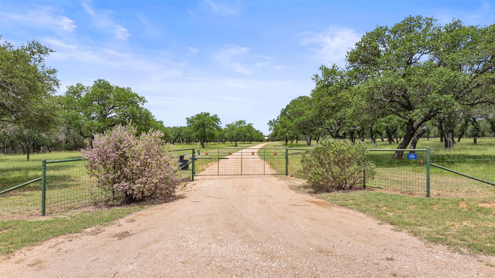 1291 Sandy Oaks Ranch Rd, Johnson City, TX 78636