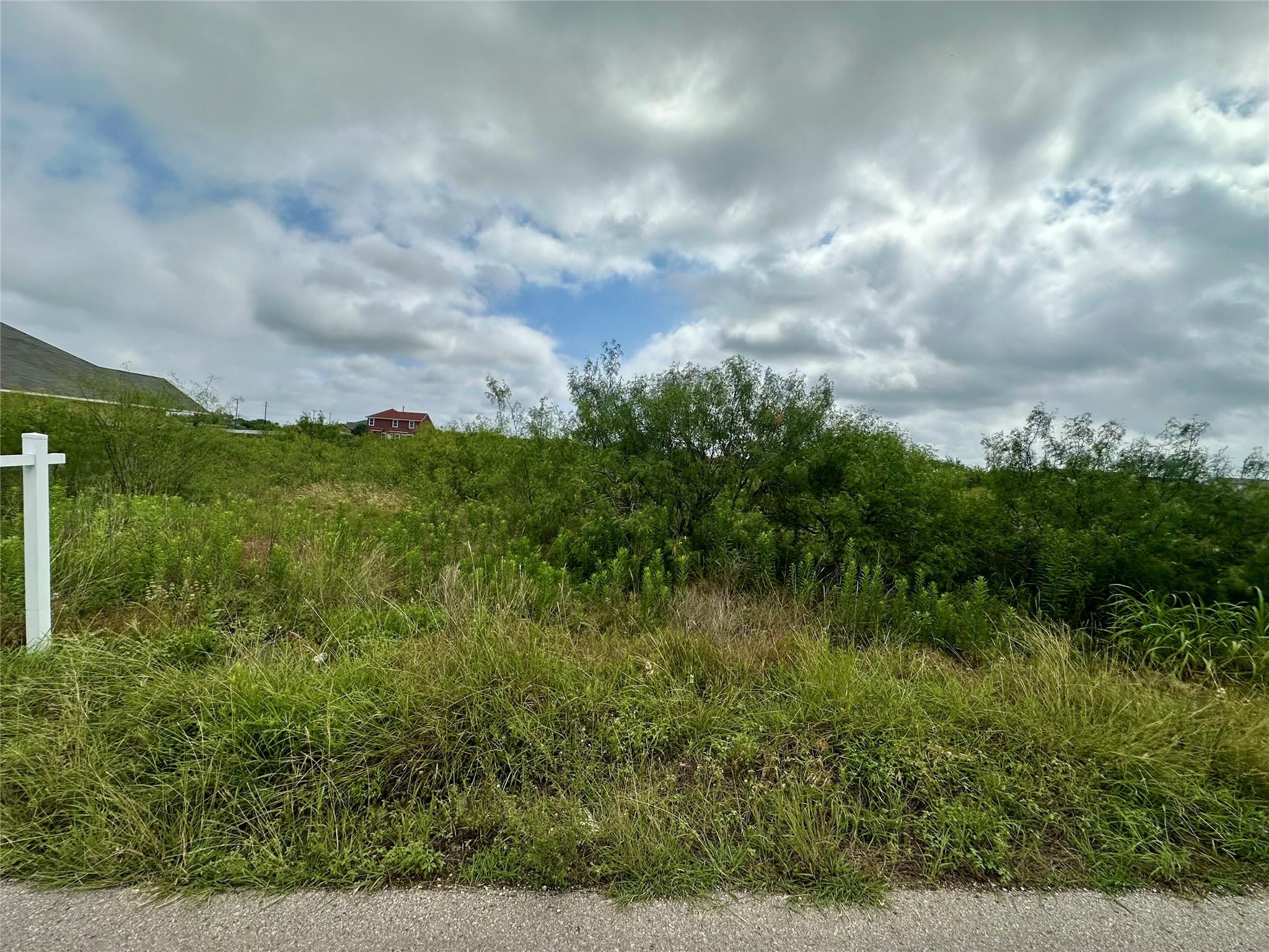 175 El Dorado Dr, Kyle, TX 78640