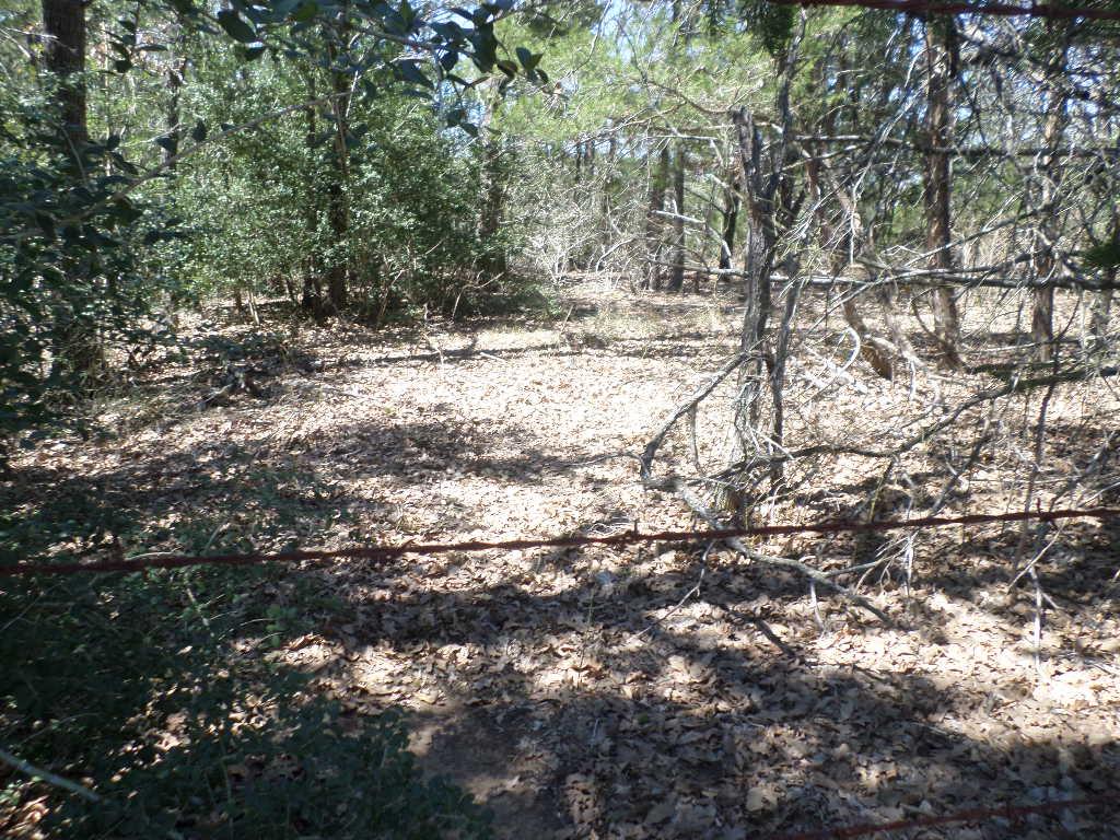 TBD R68370 Walter Hoffman Rd # H, Cedar Creek, TX 78612