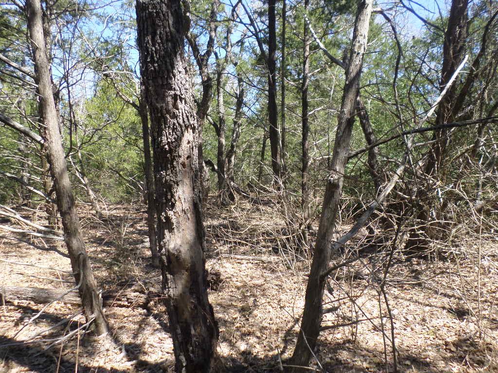 TBD R68370 Walter Hoffman Rd # H, Cedar Creek, TX 78612