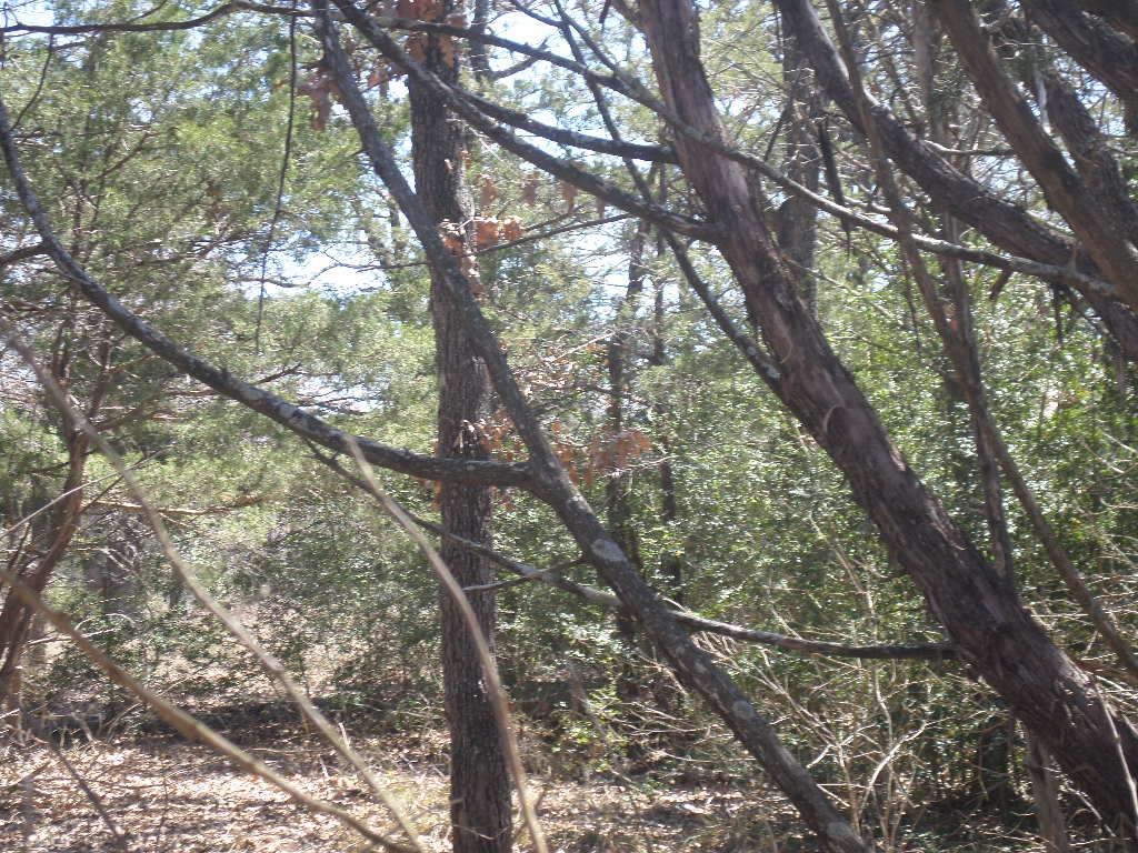 TBD R68370 Walter Hoffman Rd # H, Cedar Creek, TX 78612