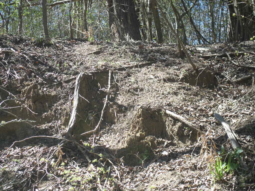 TBD R68370 Walter Hoffman Rd # H, Cedar Creek, TX 78612