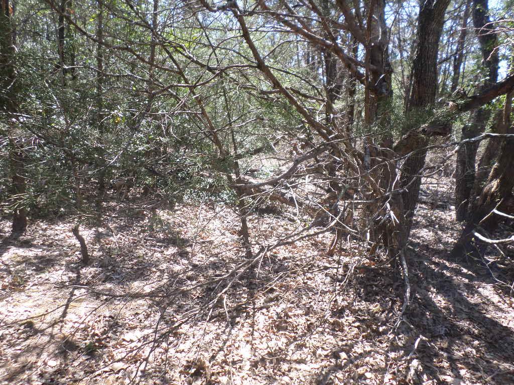 TBD R68370 Walter Hoffman Rd # H, Cedar Creek, TX 78612