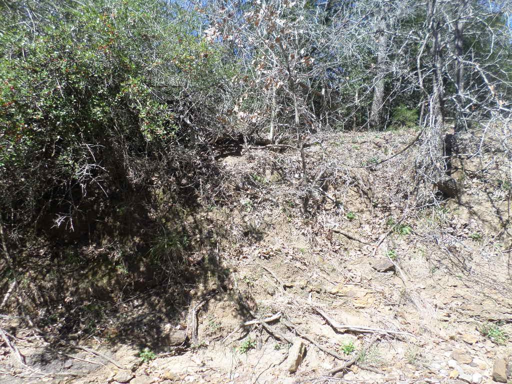 TBD R68370 Walter Hoffman Rd # H, Cedar Creek, TX 78612