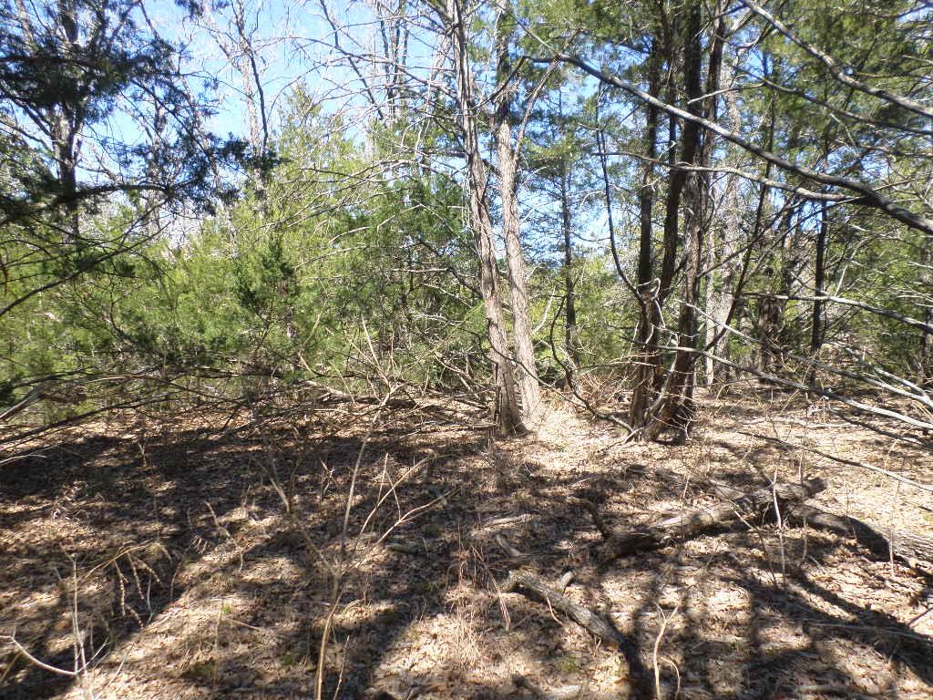 TBD R68370 Walter Hoffman Rd # H, Cedar Creek, TX 78612