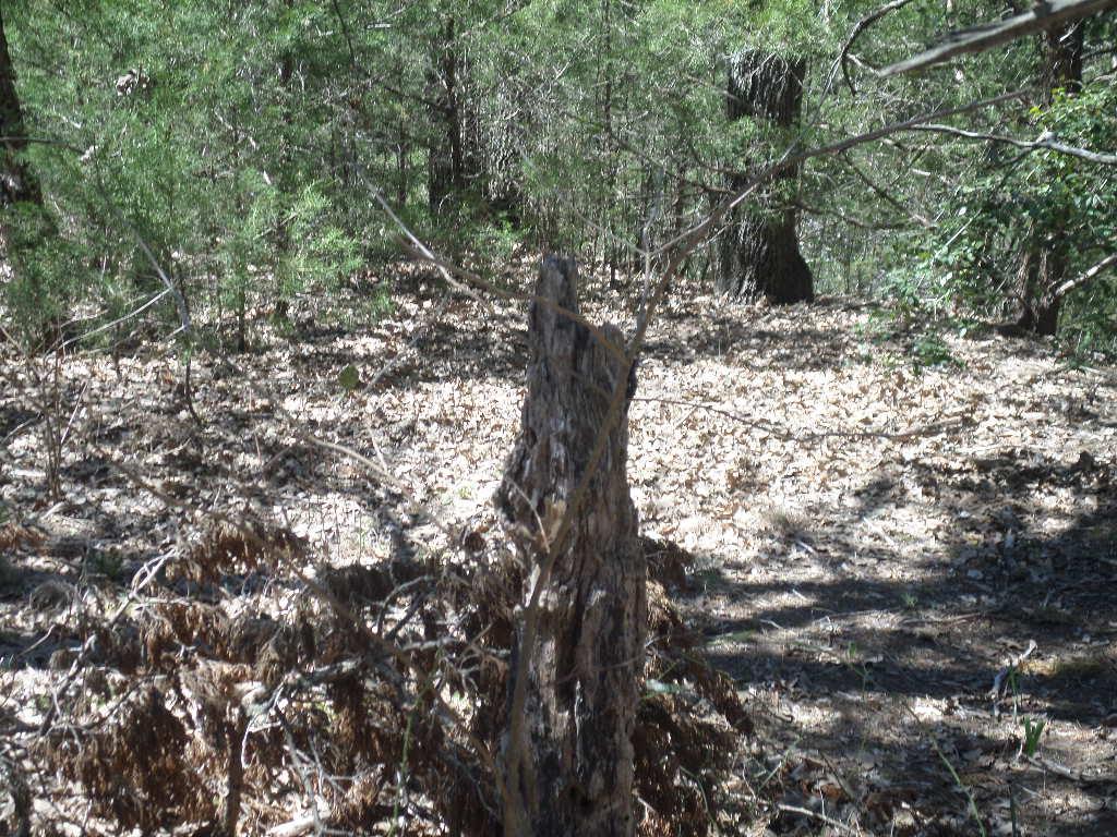 TBD R68370 Walter Hoffman Rd # H, Cedar Creek, TX 78612