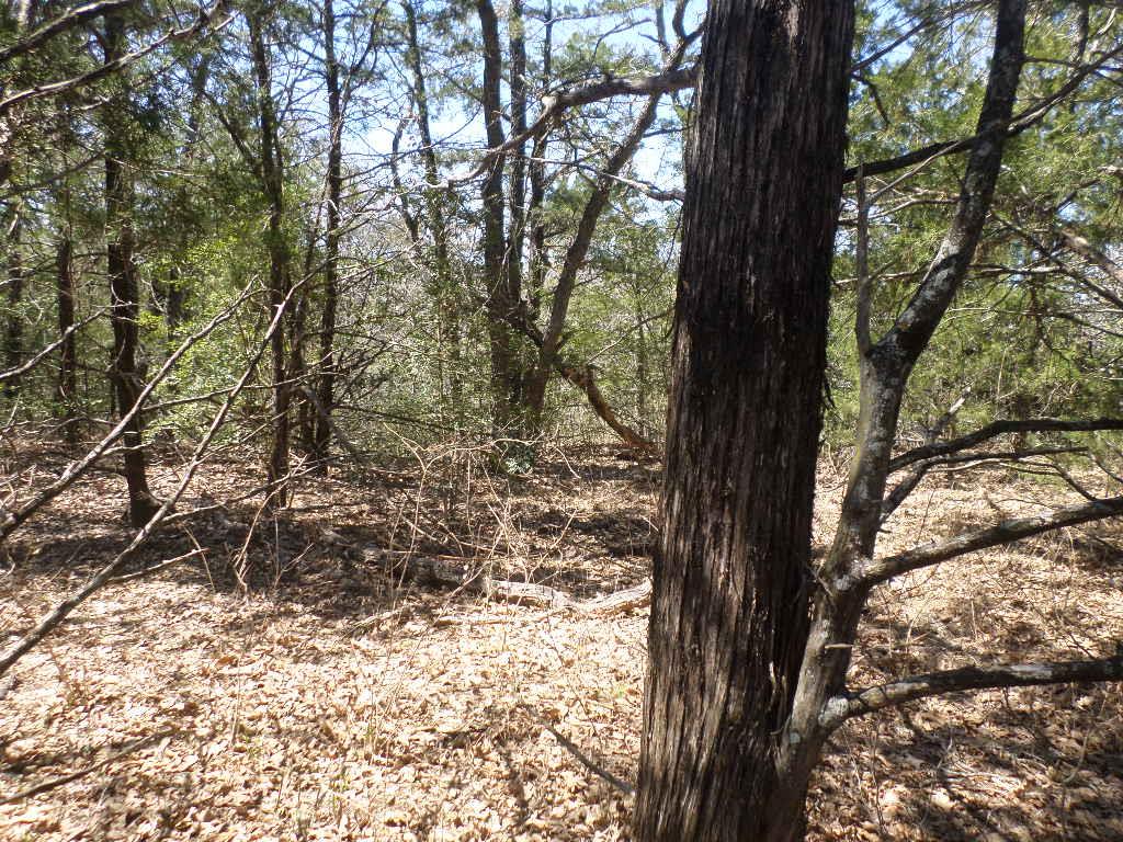 TBD R68370 Walter Hoffman Rd # H, Cedar Creek, TX 78612