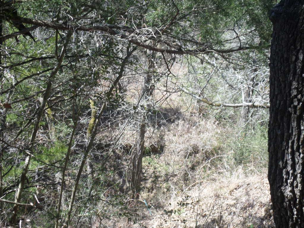 TBD R68370 Walter Hoffman Rd # H, Cedar Creek, TX 78612