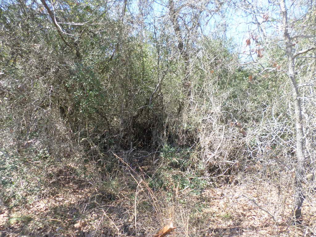 TBD R68370 Walter Hoffman Rd # H, Cedar Creek, TX 78612