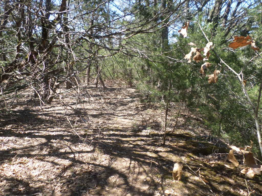 TBD R68370 Walter Hoffman Rd # H, Cedar Creek, TX 78612