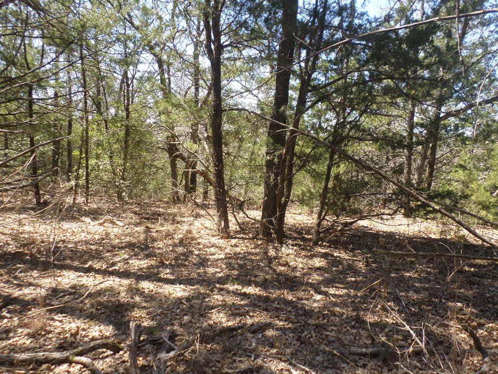 TBD R68370 Walter Hoffman Rd # H, Cedar Creek, TX 78612