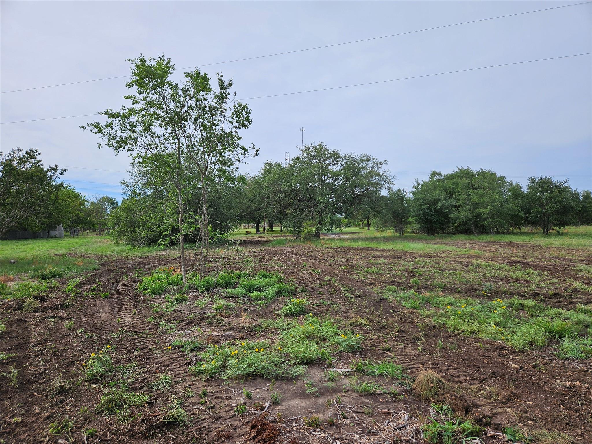 596 Seminole Trl, Lytton Springs, TX 78616