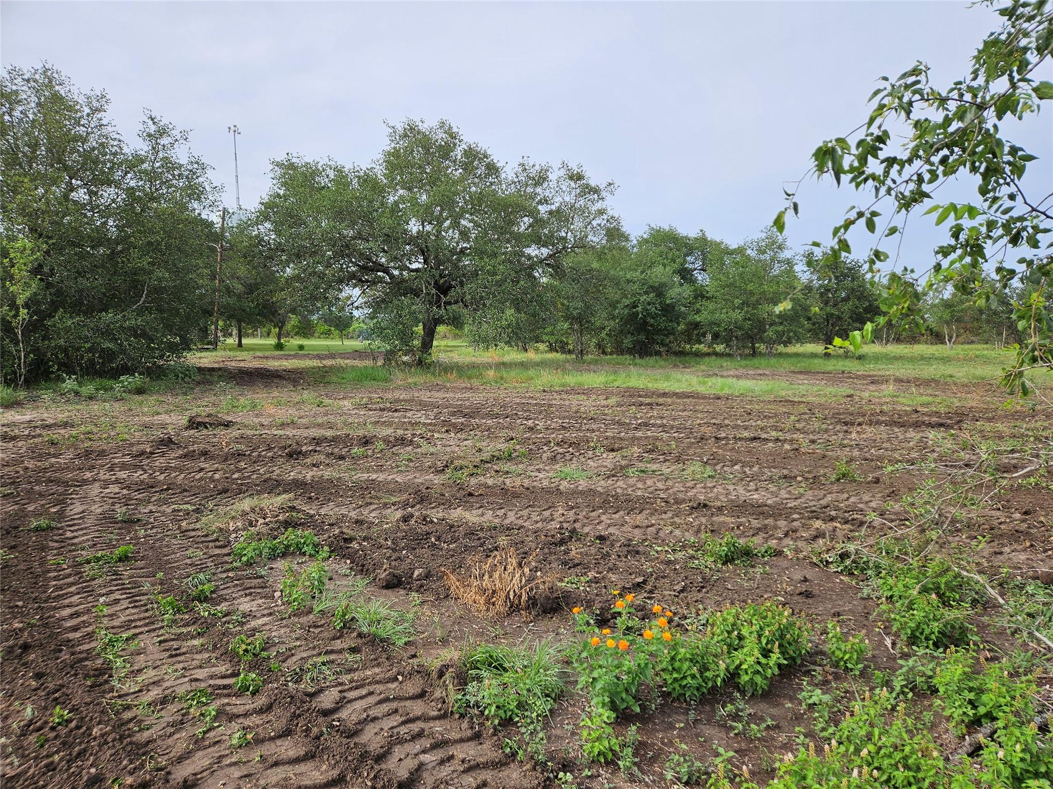 596 Seminole Trl, Lytton Springs, TX 78616