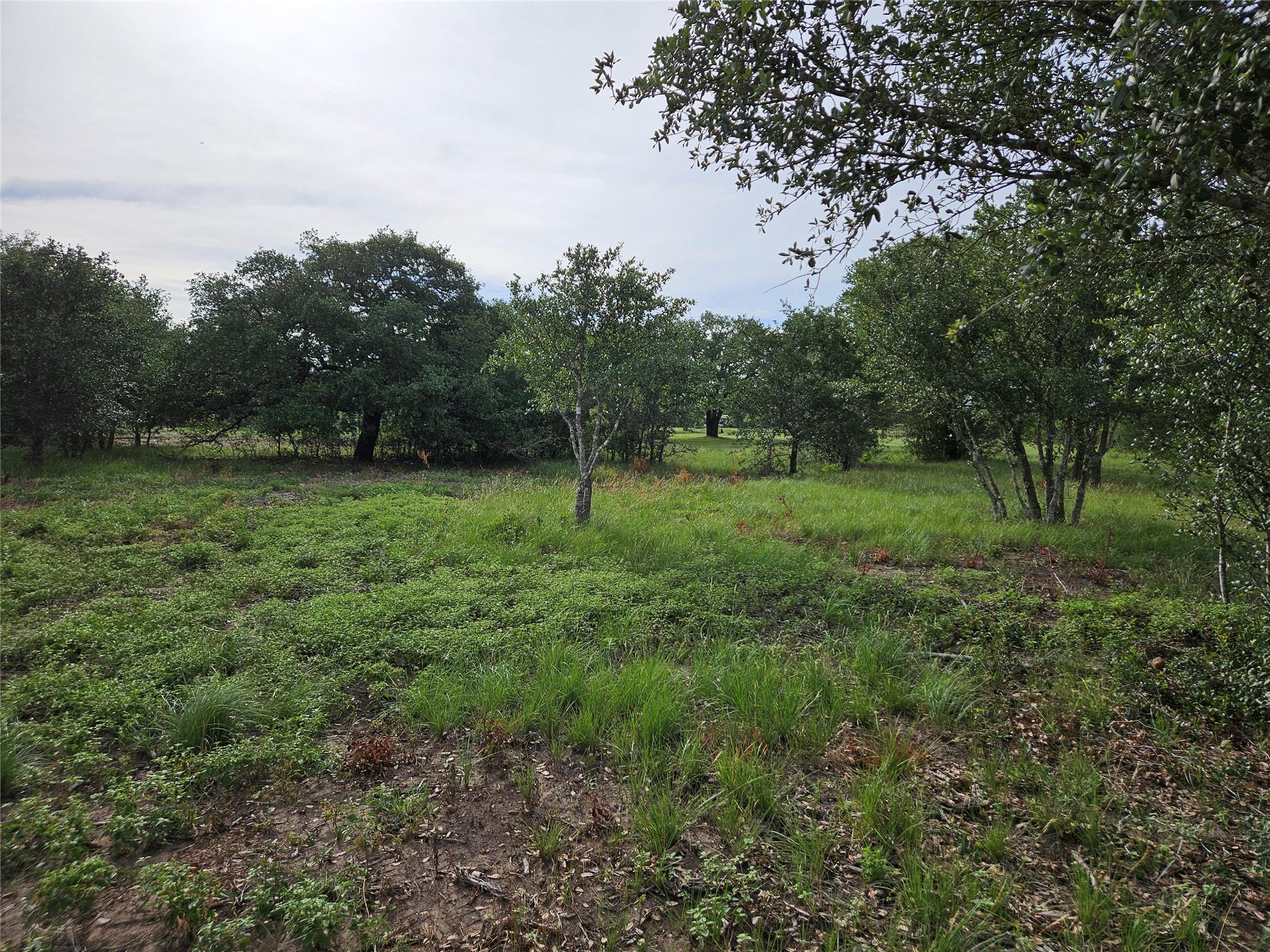 596 Seminole Trl, Lytton Springs, TX 78616