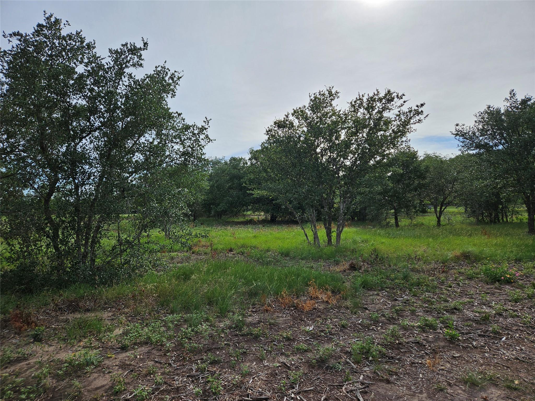 596 Seminole Trl, Lytton Springs, TX 78616