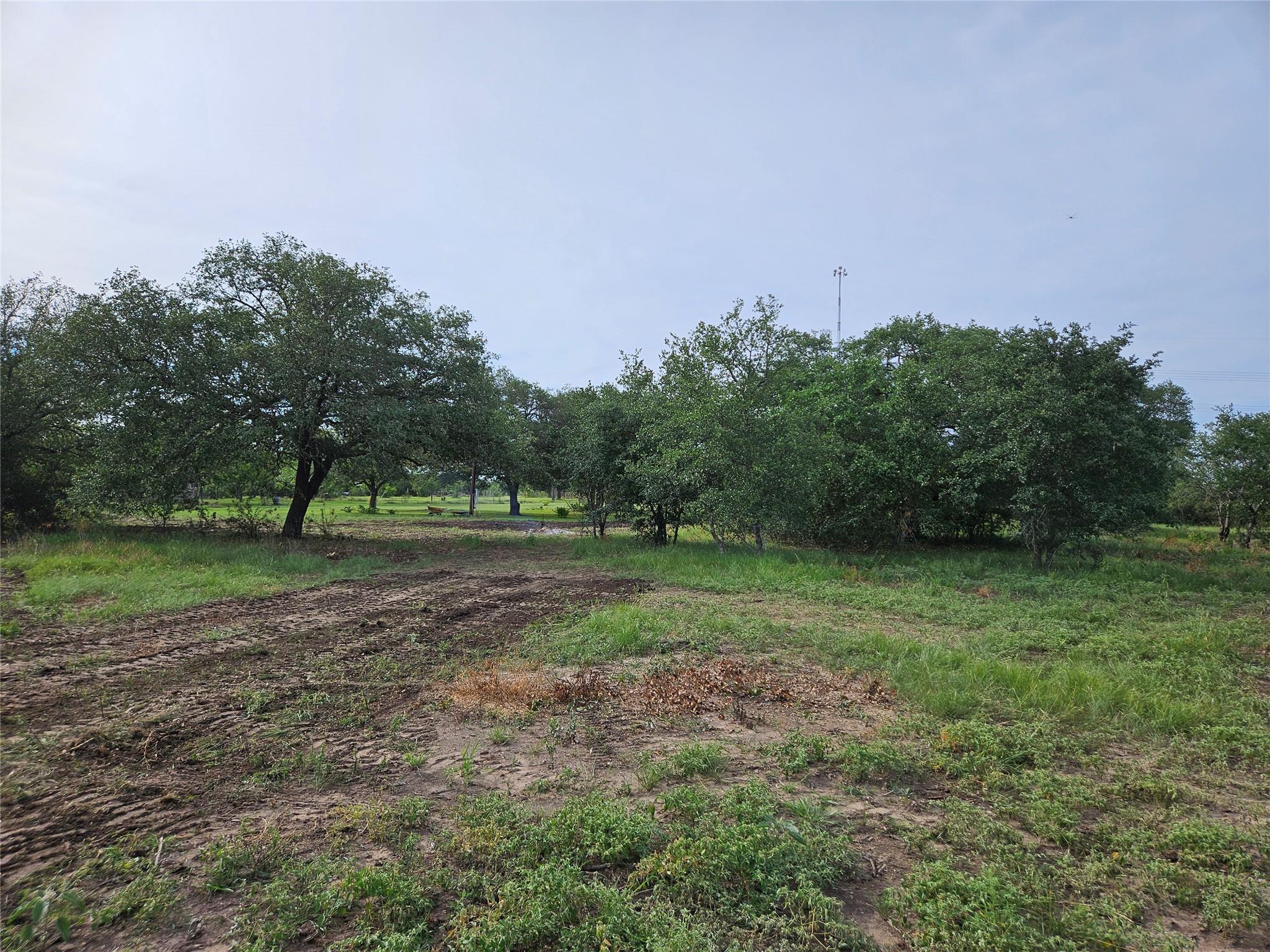 596 Seminole Trl, Lytton Springs, TX 78616