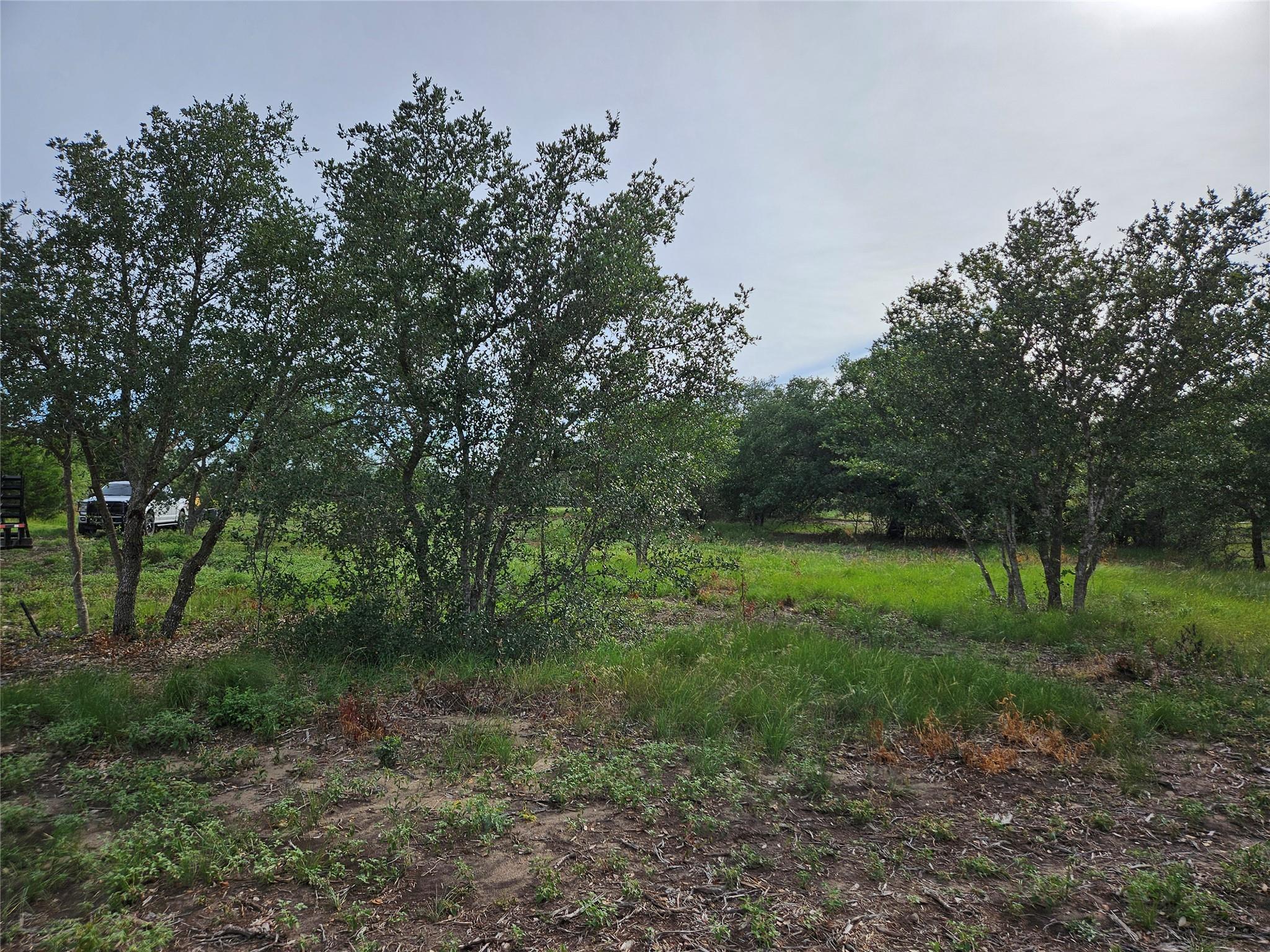 596 Seminole Trl, Lytton Springs, TX 78616