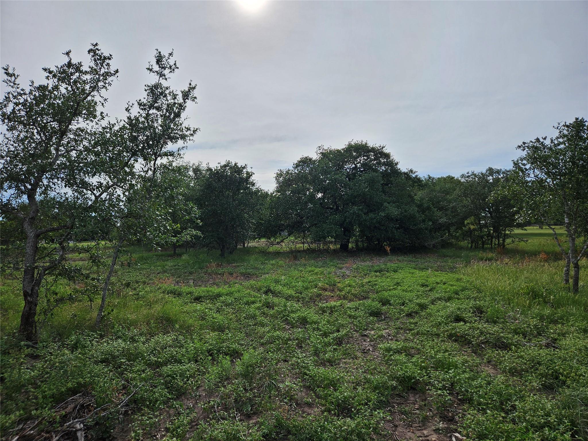 596 Seminole Trl, Lytton Springs, TX 78616