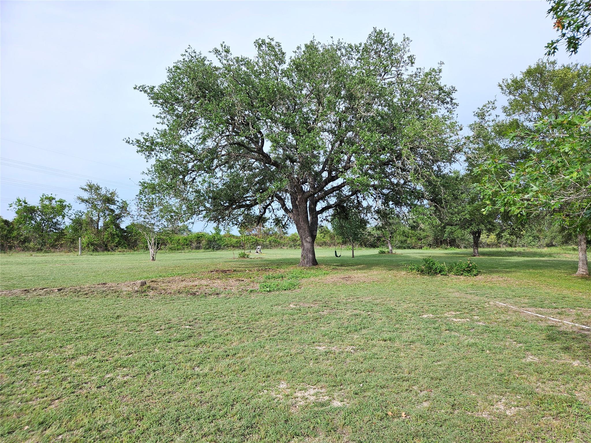 596 Seminole Trl, Lytton Springs, TX 78616