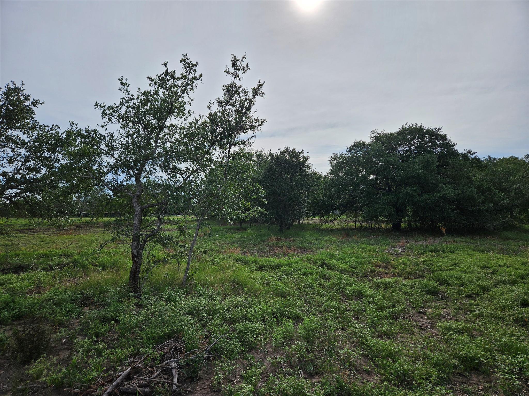 596 Seminole Trl, Lytton Springs, TX 78616