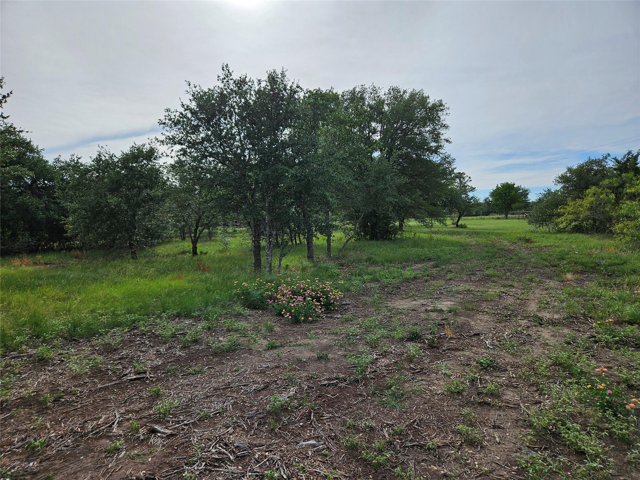 596 Seminole Trl, Lytton Springs, TX 78616