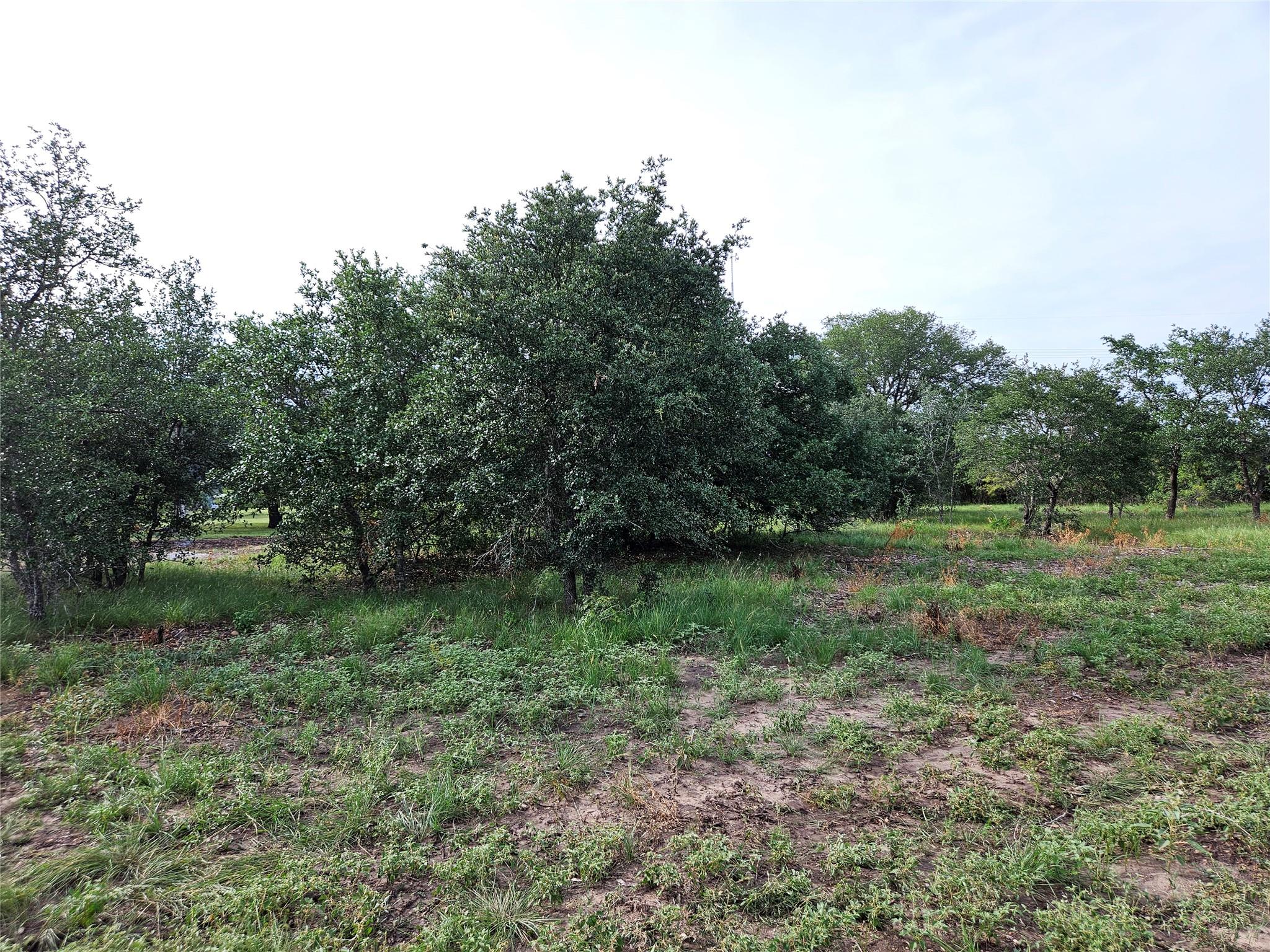 596 Seminole Trl, Lytton Springs, TX 78616