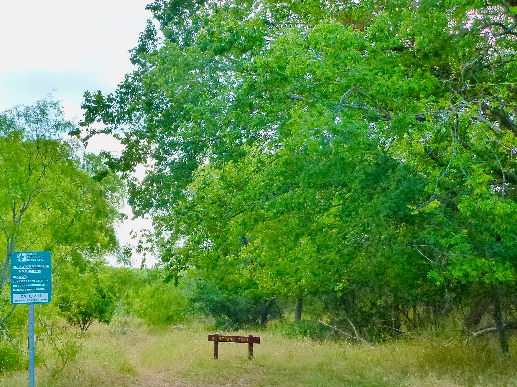 2904 Belgrave Falls Ln, Austin, TX 78748