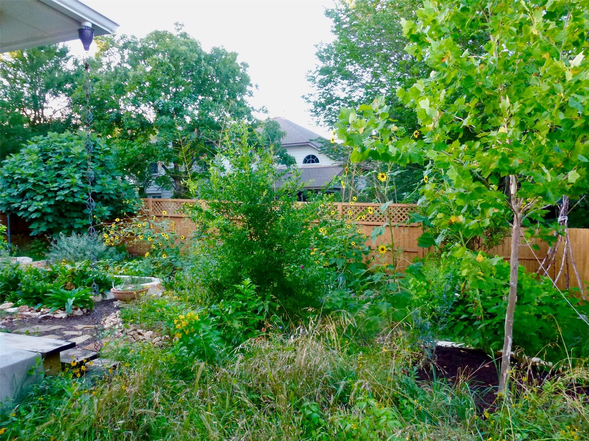 2904 Belgrave Falls Ln, Austin, TX 78748