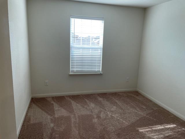14217 Prairie Sod Ln, Elgin, TX 78621