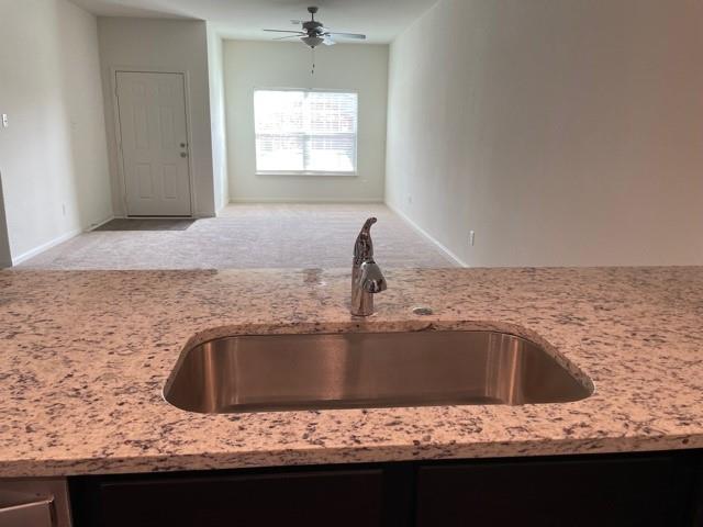 14217 Prairie Sod Ln, Elgin, TX 78621