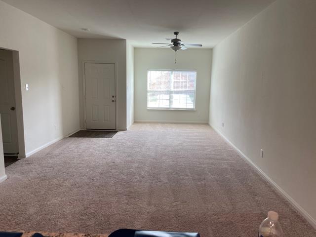 14217 Prairie Sod Ln, Elgin, TX 78621