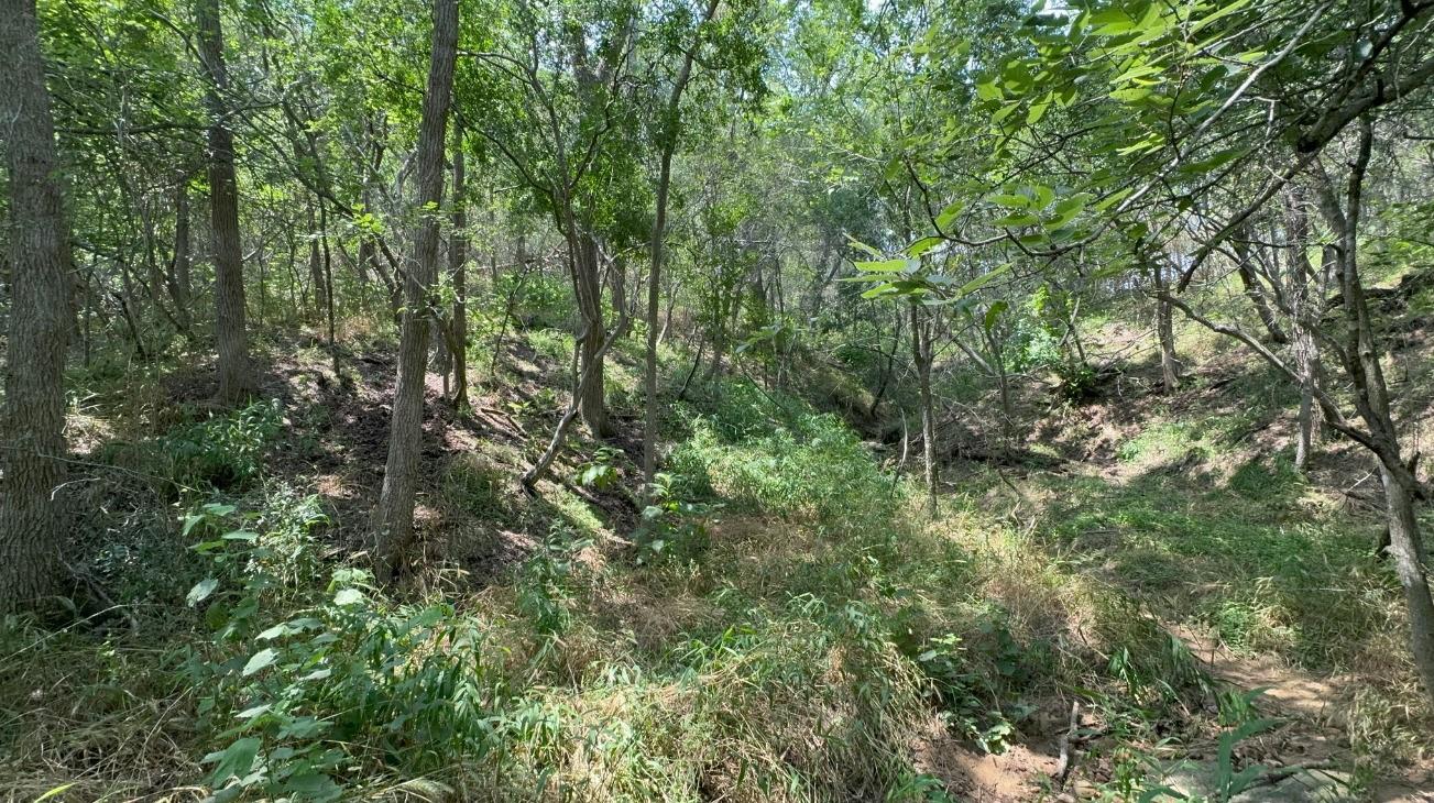 Lot 649 Kaukonahua Ln, Bastrop, TX 78602