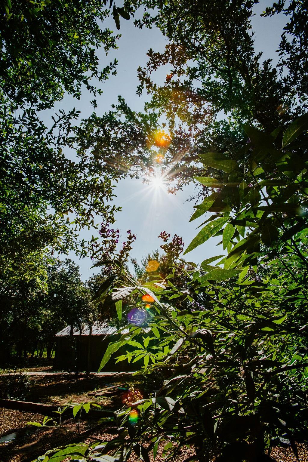 204 E Lakeshore Dr, Dripping Springs, TX 78620