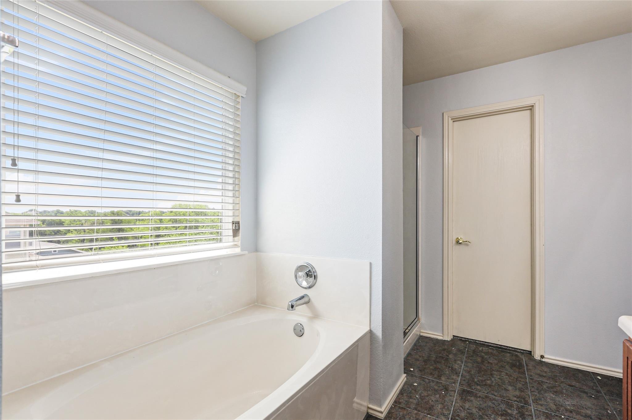 17737 Golden Valley Dr, Manor, TX 78653