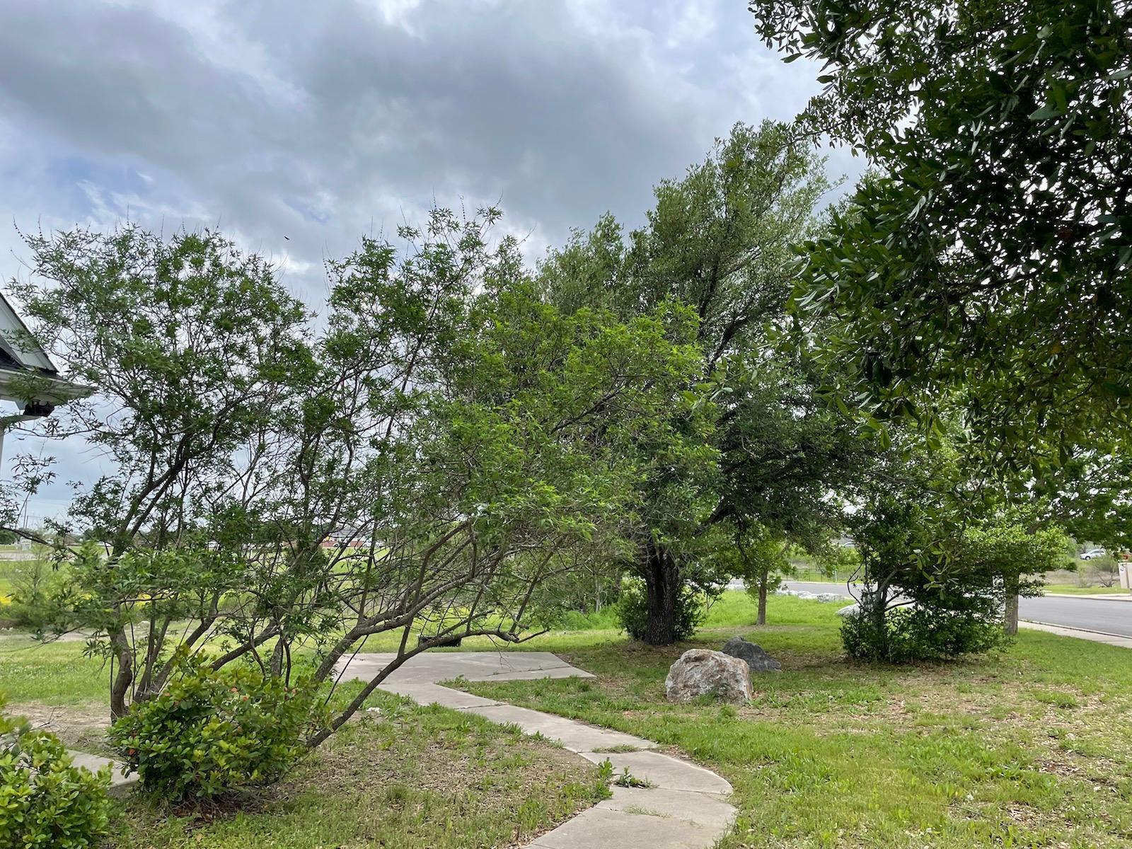 1150 Arbor Knot Dr, Kyle, TX 78640