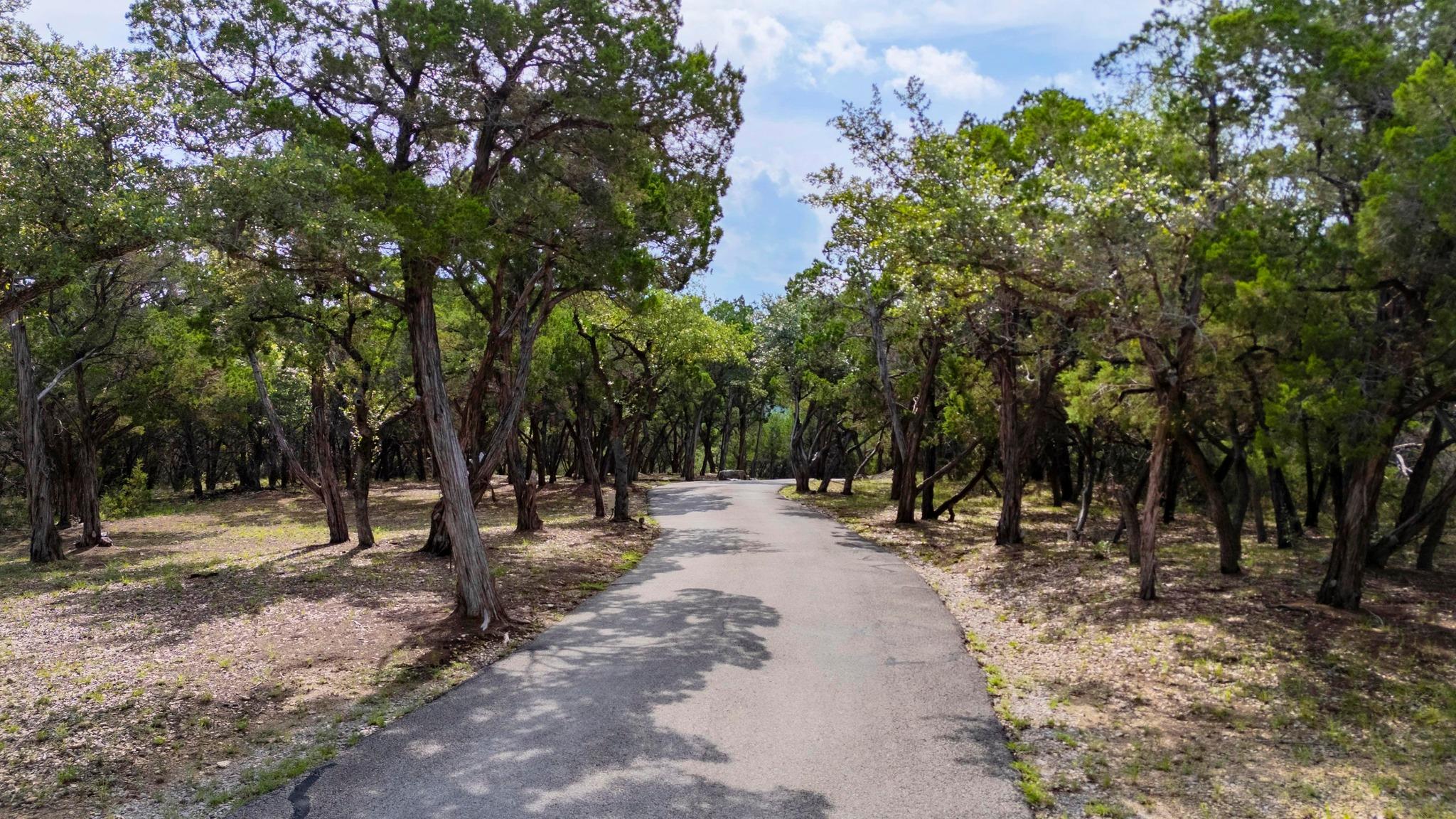 105 N Angel Light Dr, Spicewood, TX 78669