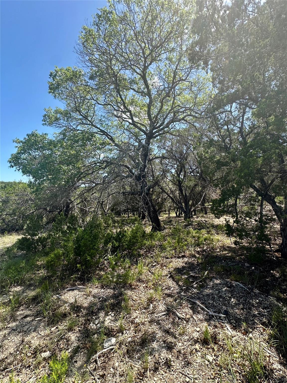 105 N Angel Light Dr, Spicewood, TX 78669