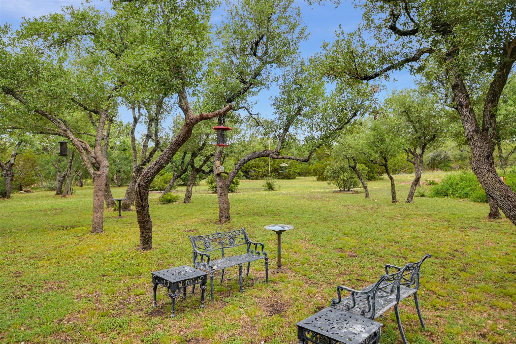 116 Saddlehorn Dr, Dripping Springs, TX 78620