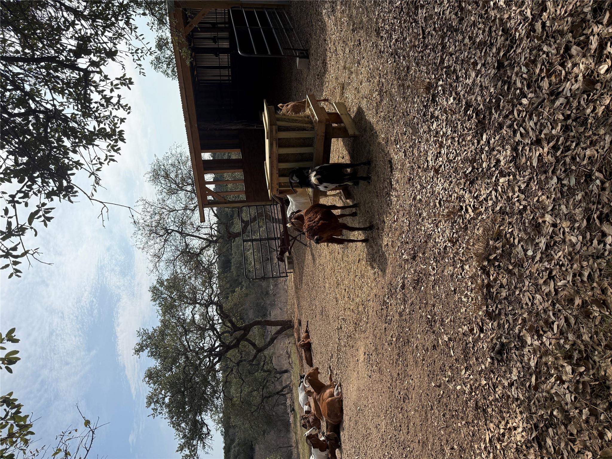 4400 Hilliard Rd, San Marcos, TX 78666