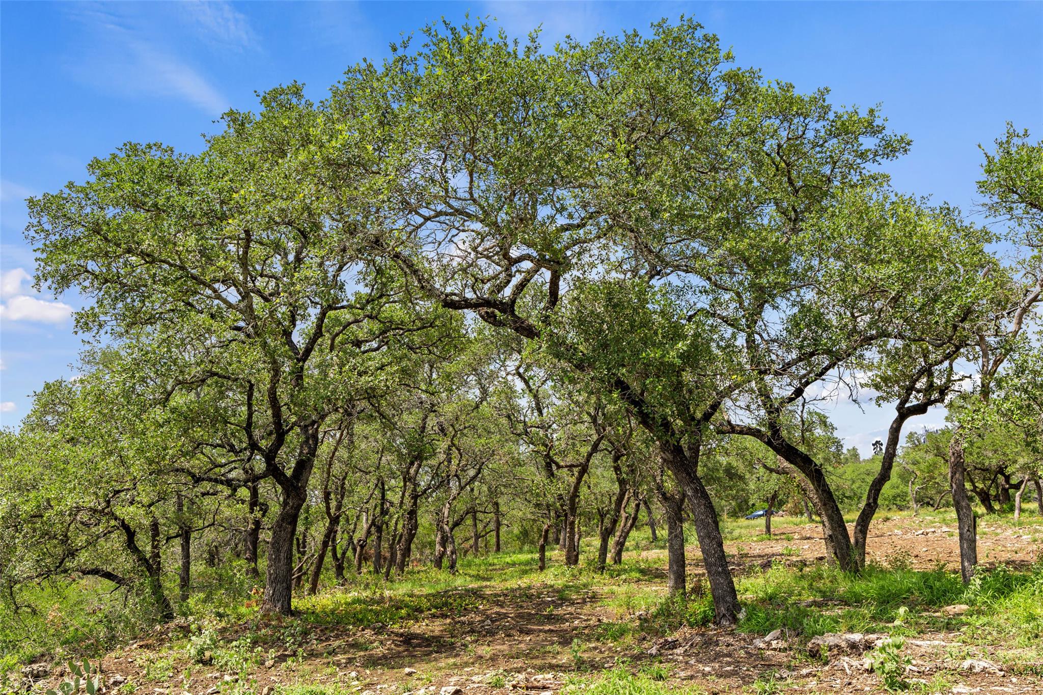 Lot 7 -24525 Pedernales Canyon Trl # 7, Spicewood, TX 78669