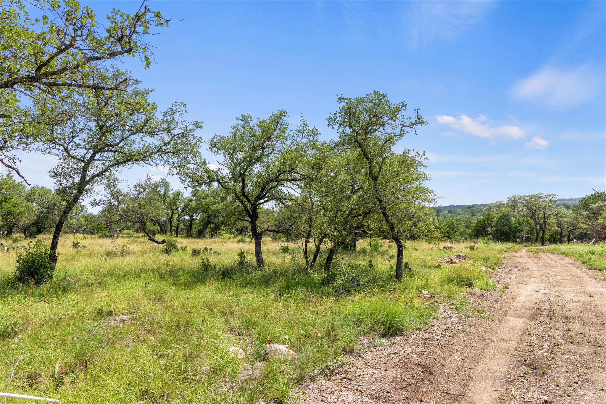 Lot 7 -24525 Pedernales Canyon Trl # 7, Spicewood, TX 78669