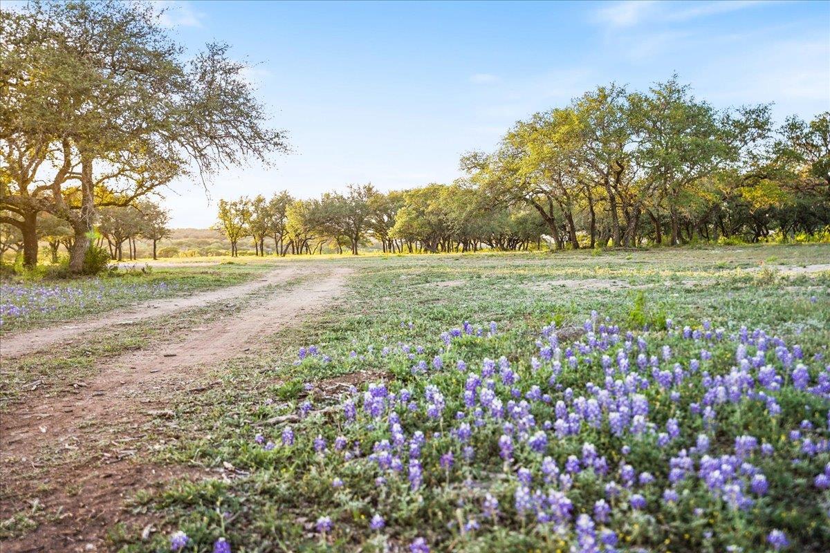 Lot 7 -24525 Pedernales Canyon Trl # 7, Spicewood, TX 78669