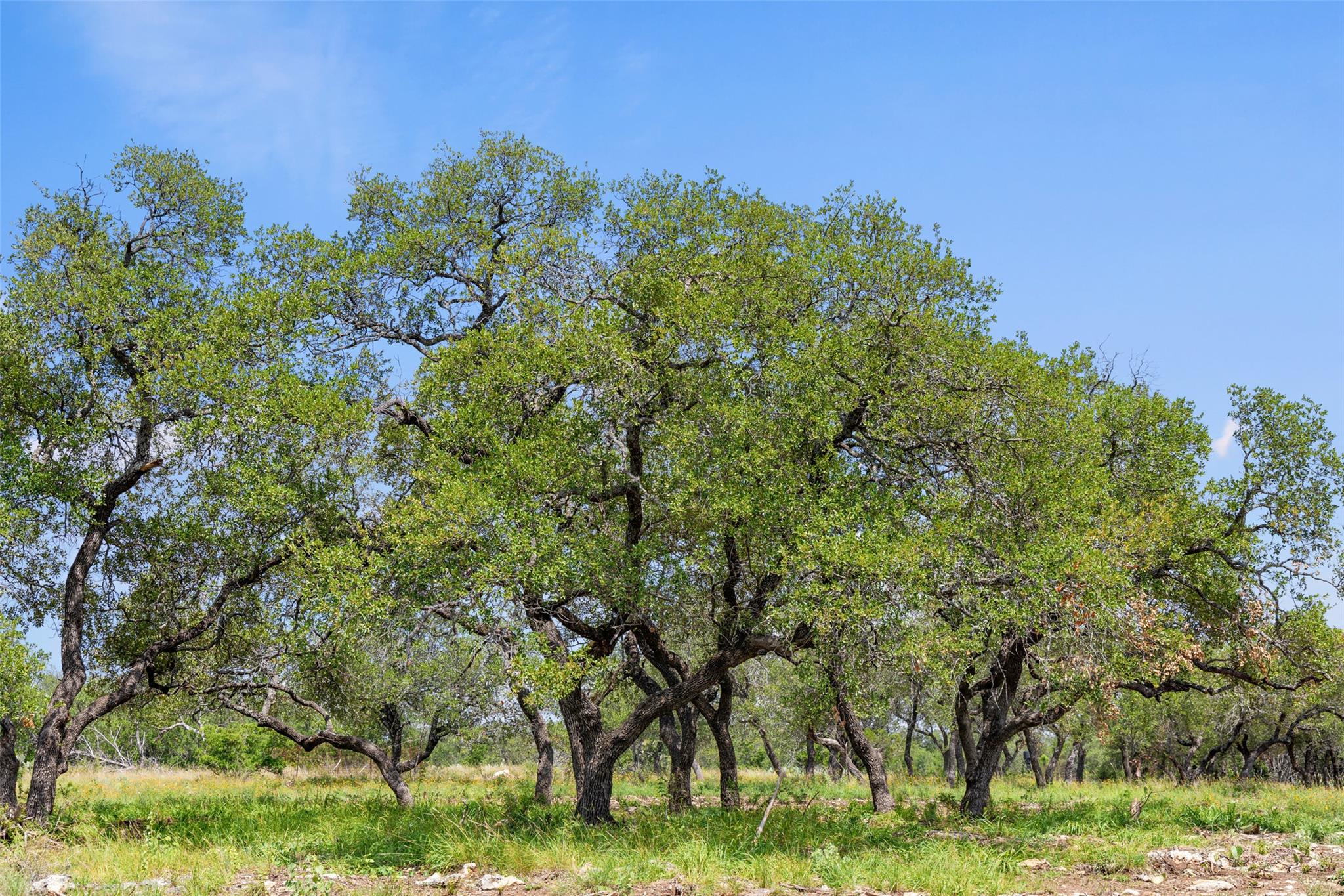 Lot 7 -24525 Pedernales Canyon Trl # 7, Spicewood, TX 78669