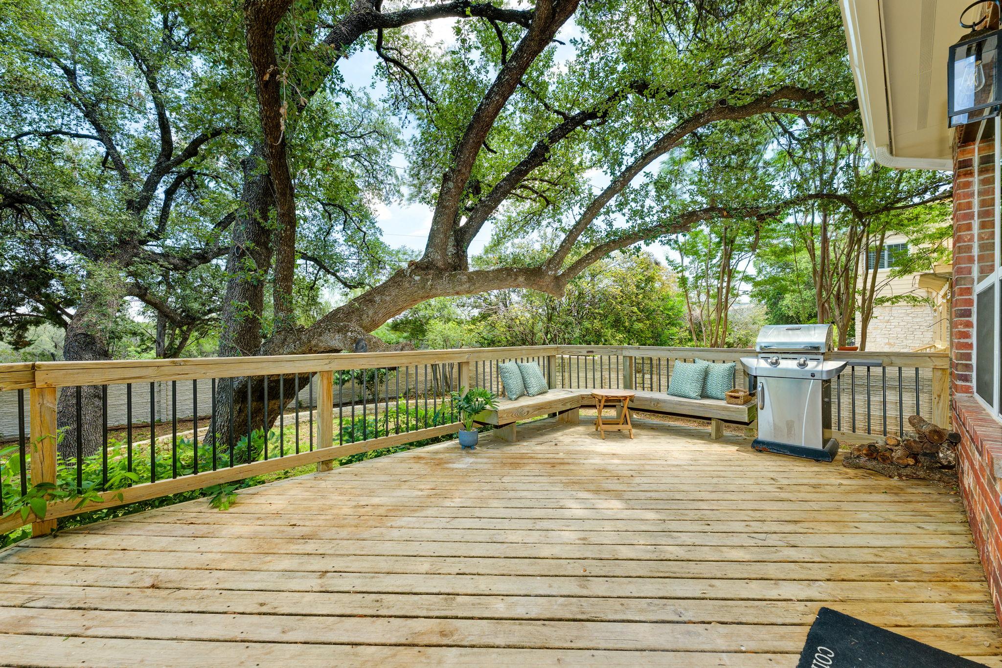 38 Cottondale Rd, The Hills, TX 78738