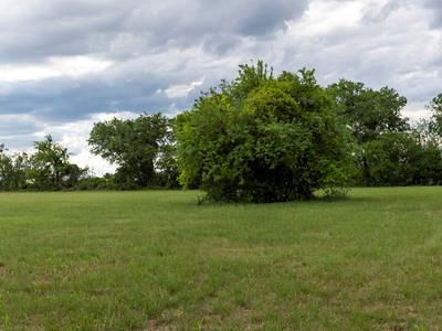 7805 Barbarossa Rd, New Braunfels, TX 78130